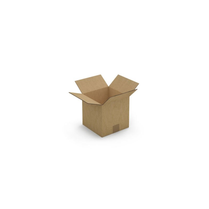 Caisse carton brune double cannelure RAJA 20x20x20 cm