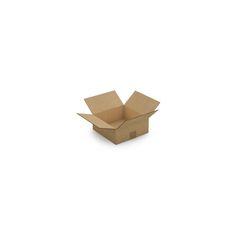 Caisse carton brune double cannelure RAJA 25x25x10 cm