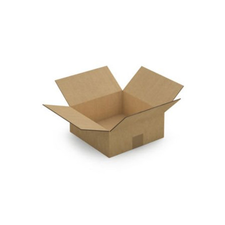 Caisse carton brune double cannelure RAJA 25x25x10 cm