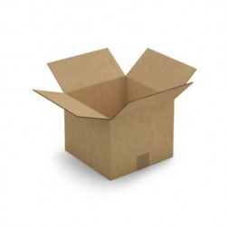 Caisse carton brune double cannelure RAJA 25x25x20 cm