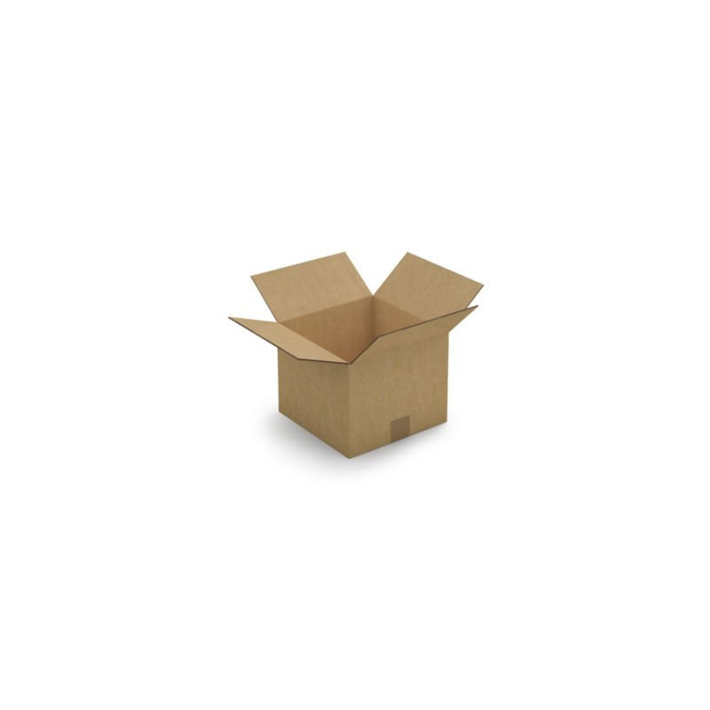 Caisse carton brune double cannelure RAJA 25x25x20 cm