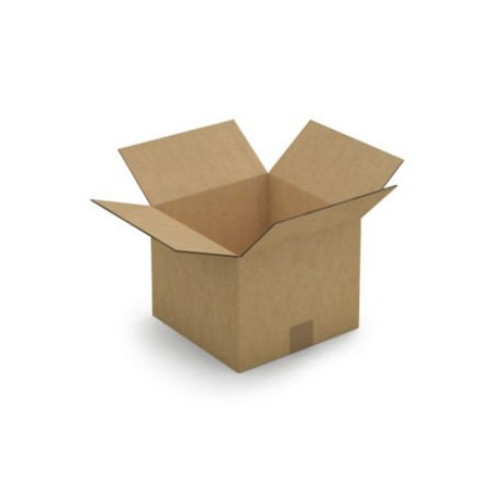 Caisse carton brune double cannelure RAJA 25x25x20 cm