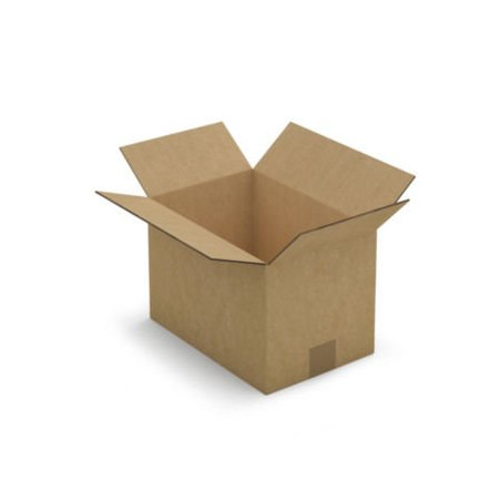 Caisse carton brune double cannelure RAJA 30x20x20 cm