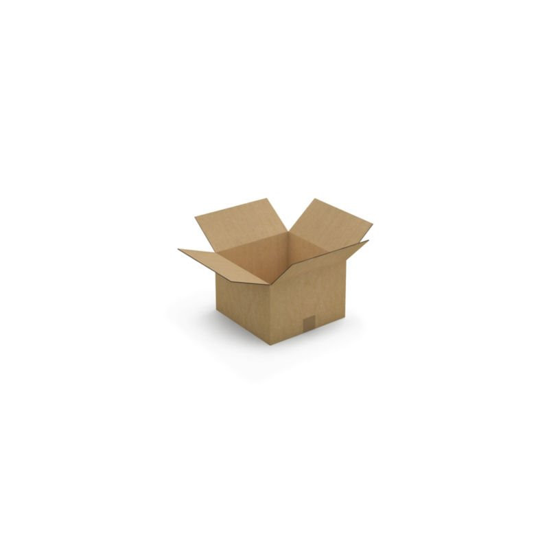 Caisse carton brune double cannelure RAJA 30x30x20 cm