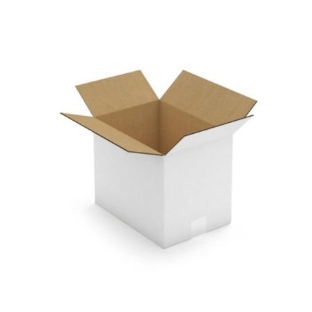 Caisse carton blanche double cannelure RAJA 31x22x25 cm