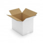 Caisse carton blanche double cannelure RAJA 31x22x25 cm