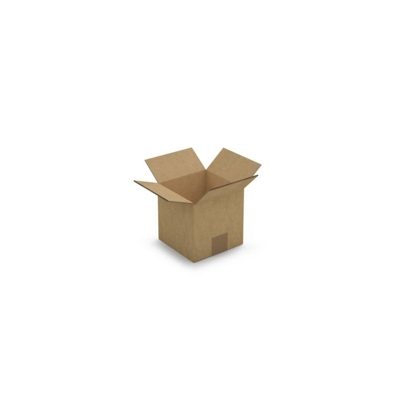 Caisse carton brune double cannelure RAJA 15x15x15 cm