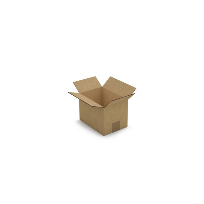 Caisse carton brune double cannelure RAJA 20x14x14 cm