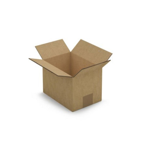 Caisse carton brune double cannelure RAJA 20x14x14 cm