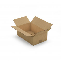 Caisse carton brune double cannelure RAJA 48x38x27 cm