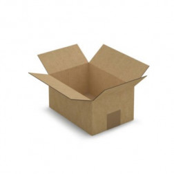 Caisse carton brune simple cannelure RAJA 21,5x15x10,5 cm