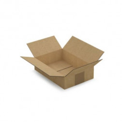 Caisse carton brune simple cannelure RAJA 21,5x15x5,5 cm