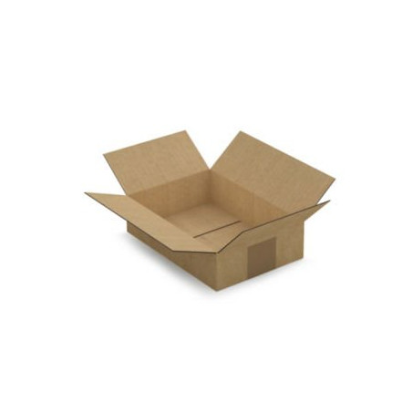 Caisse carton brune simple cannelure RAJA 21,5x15x5,5 cm