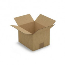 Caisse carton brune simple cannelure RAJA 23x19x16 cm