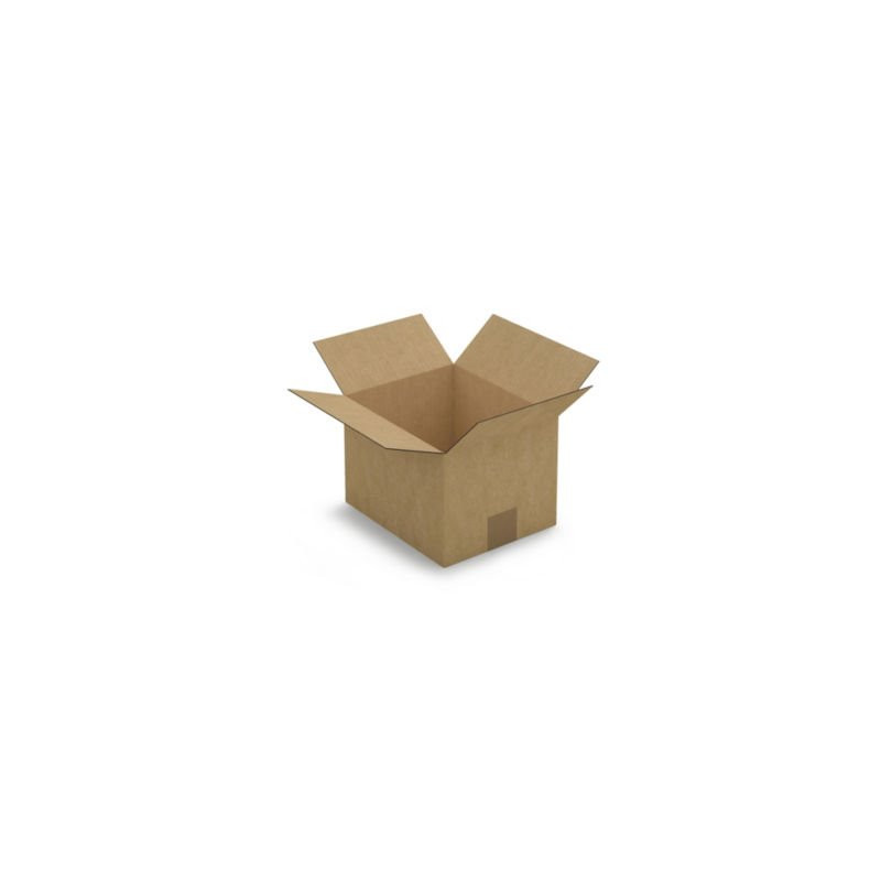 Caisse carton brune simple cannelure RAJA 23x19x16 cm