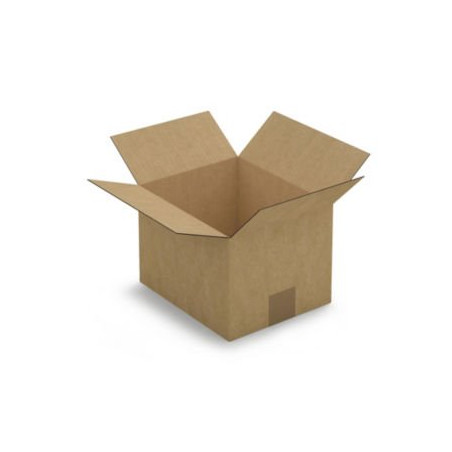 Caisse carton brune simple cannelure RAJA 23x19x16 cm