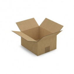 Caisse carton brune simple cannelure RAJA 23x19x12 cm