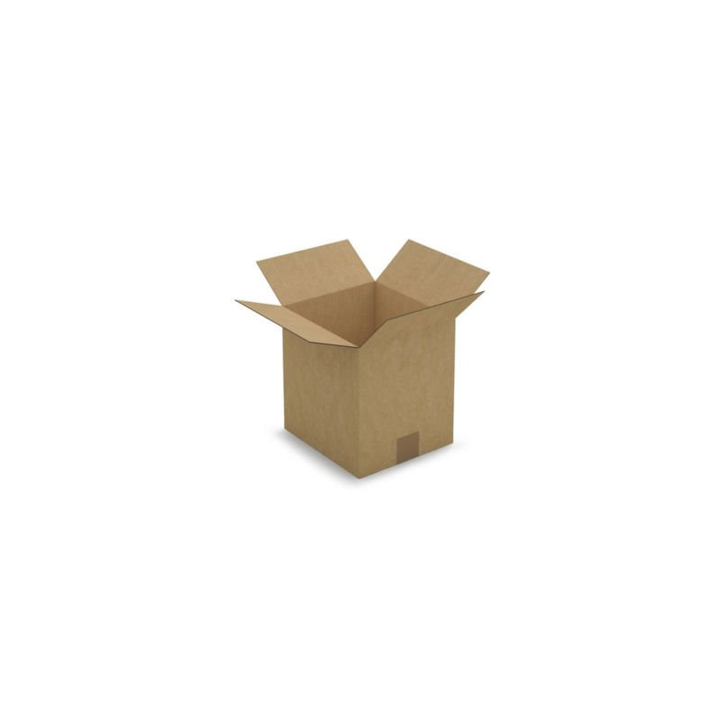 Caisse carton brune simple cannelure RAJA 23x21x24 cm