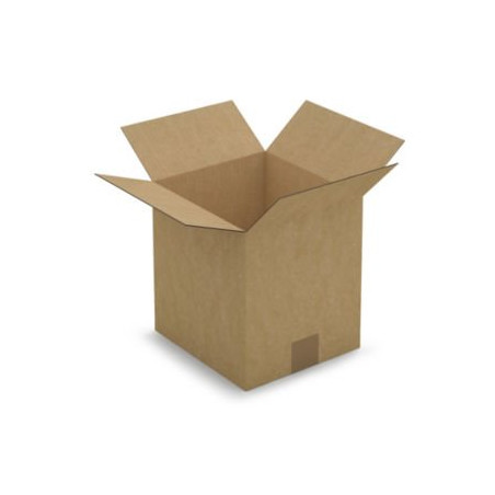 Caisse carton brune simple cannelure RAJA 23x21x24 cm