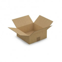 Caisse carton brune simple cannelure RAJA 25x25x10 cm