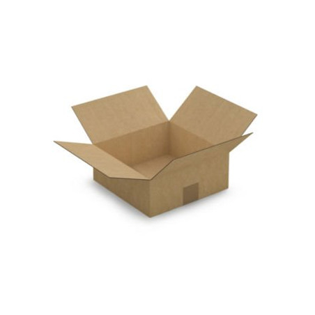 Caisse carton brune simple cannelure RAJA 25x25x10 cm