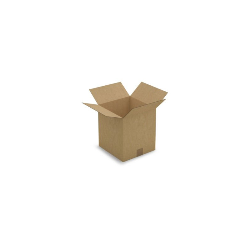 Caisse carton brune simple cannelure RAJA 27x26x29 cm