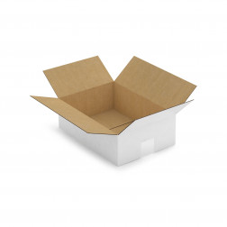 Caisse carton blanche simple cannelure RAJA 23x15,5x30 cm