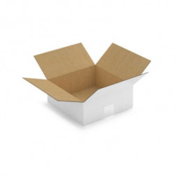 Caisse carton blanche simple cannelure RAJA 25x25x10 cm