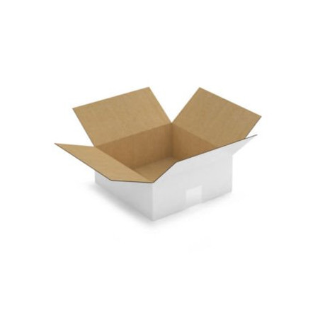 Caisse carton blanche simple cannelure RAJA 25x25x10 cm