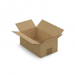 Caisse carton plate brune simple cannelure RAJA 25x15x10 cm