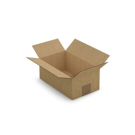 Caisse carton plate brune simple cannelure RAJA 25x15x10 cm