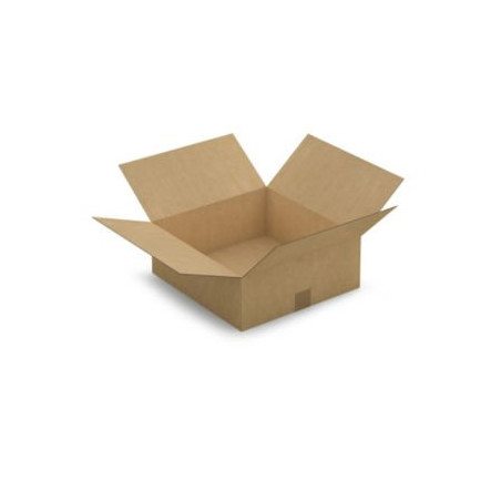 Caisse carton brune simple cannelure RAJA 38,5x37x14 cm