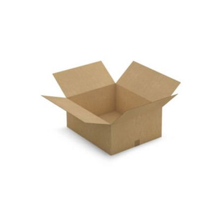 Caisse carton brune simple cannelure RAJA 59x49x25 cm