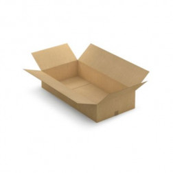 Caisse carton plate brune simple cannelure RAJA 100x50x20 cm