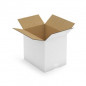 Caisse carton blanche double cannelure RAJA 33x25x30 cm