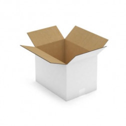 Caisse carton blanche double cannelure RAJA 35x25x25 cm