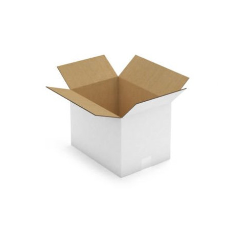 Caisse carton blanche double cannelure RAJA 35x25x25 cm