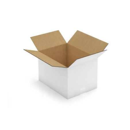 Caisse carton blanche double cannelure RAJA 38,5x28,5x25 cm