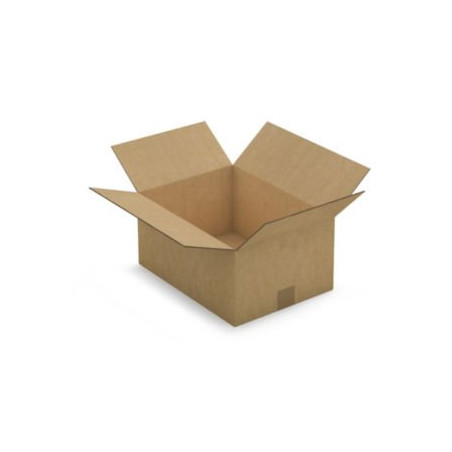 Caisse carton brune double cannelure RAJA 38x28x18 cm