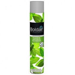 DESODORISANT BOLDAIR BACTERICIDE FRAICHEUR MENTHOL