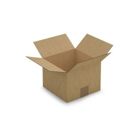 Caisse carton brune simple cannelure RAJA 20x20x15 cm