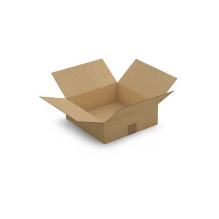 Caisse carton brune simple cannelure à base carrée RAJA 30x30x10 cm