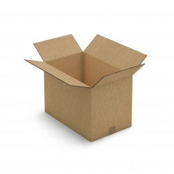 Caisse carton brune triple cannelure RAJA 46x26x26 cm