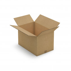 Caisse carton brune triple cannelure RAJA 46x26x26 cm