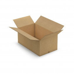 Caisse carton brune triple cannelure RAJA 46x26x26 cm