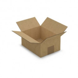 Caisse carton brune simple cannelure RAJA 20x15x9 cm