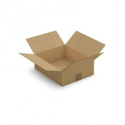 Caisse carton plate brune simple cannelure RAJA 30x25x10 cm