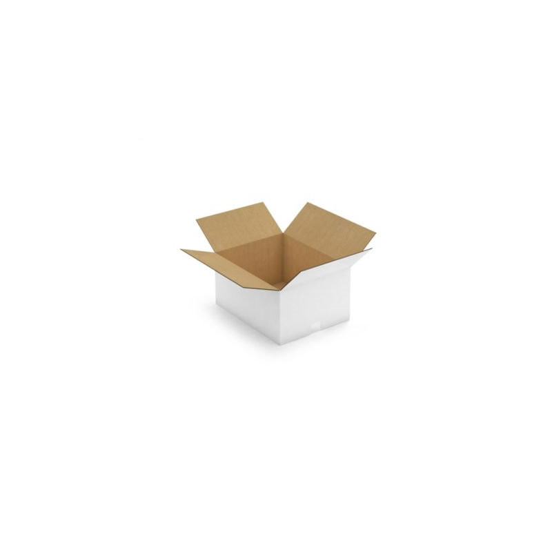 Caisse carton blanche double cannelure RAJA 48,5x38,5x25 cm