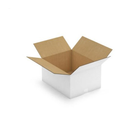 Caisse carton blanche double cannelure RAJA 48,5x38,5x25 cm