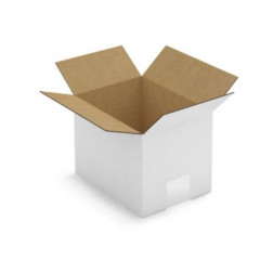 Caisse carton blanche simple cannelure RAJA 20x15x15 cm